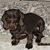 Missi Lane's profile image