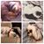 Paula Morrison Huckabaa's profile image