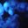timothy morse's profile image