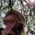 Heather Rae's profile image
