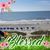 Michele Cantrell's profile image