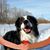 Karolin Klinck's profile image
