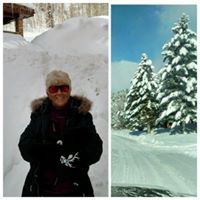 Patti Stixrood's profile image