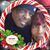 Debra Clark's profile image