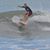 Anthony Vigliotti's profile image