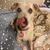 Taunora Abrahams's profile image