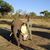 Colleen Magarrell's profile image