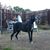 Kathy Moraes's profile image