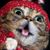 Flo Dollman's profile image