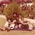 Urmi Patel's profile image