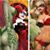 Jen Reed's profile image