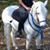 Suzan Thompson's profile image
