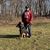 Angelito Crispin's profile image