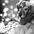 Kathie Ferrier's profile image