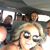 Becky McCutcheon Howard's profile image