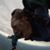 Steve Seip's profile image