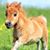 Charlie Brewer's profile image