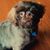 Dave Rush's profile image