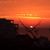Andrea Alvarez's profile image