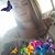 Michelle Hiles's profile image