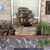 Pam Tillery Rehorn's profile image