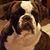 Lisa Shoffner Davis's profile image