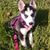 Sheri McLain's profile image