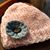 Sharon Beck's profile image