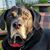Suzanne Rooney's profile image