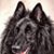Doreen McCann's profile image