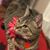 Ali Camille Termaat's profile image
