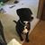 Sue Caverly Peters's profile image