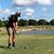Matthew Gutierrez's profile image