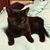 P Elena Sanchez's profile image
