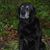 Jim Kerry Gardiner's profile image