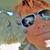 Patricia Mahon's profile image