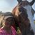 Kelly Geisler's profile image