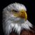 Gary Hulsbrink's profile image