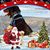 Cheryl Schlueter's profile image