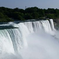 Beth Phipps's profile image