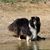 Jody Mckeen-Blight's profile image
