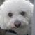 Cathy Costello's profile image