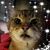 Tara Damrel's profile image
