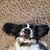 Patti Formico's profile image