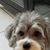 John Scott Boyd's profile image