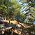 Lisa Bolduc Fucile's profile image