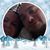 Alicia Gaudiello's profile image