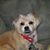 Gwen Howard McDonald's profile image