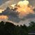 Debbie Melton's profile image