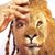 Indlovukazi Zulu Queen's profile image